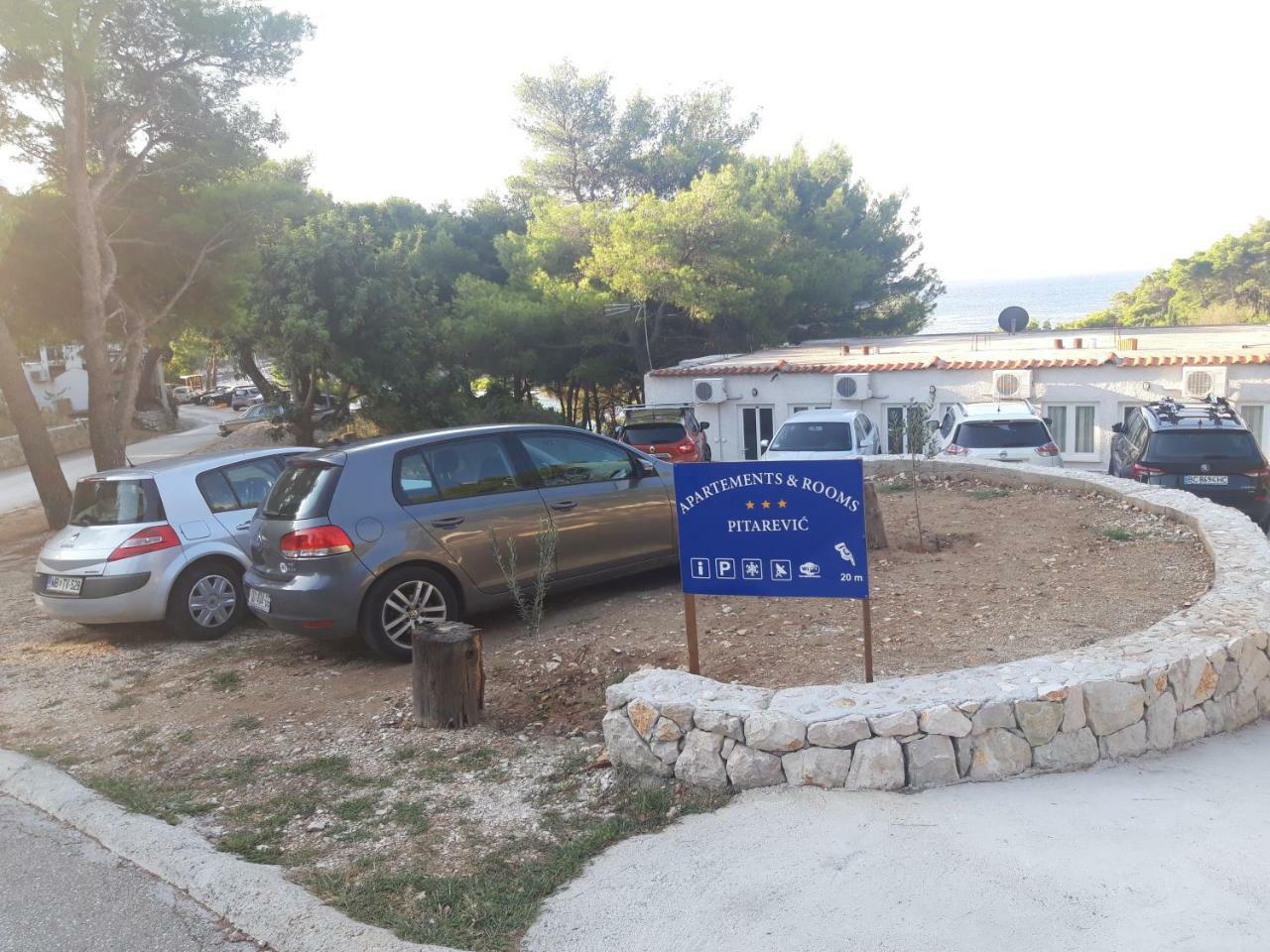 Pitarevic * Saplunara