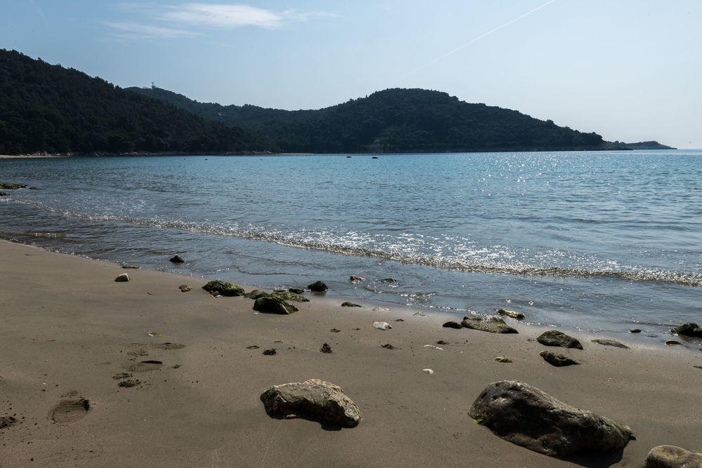 Pitarevic * Saplunara